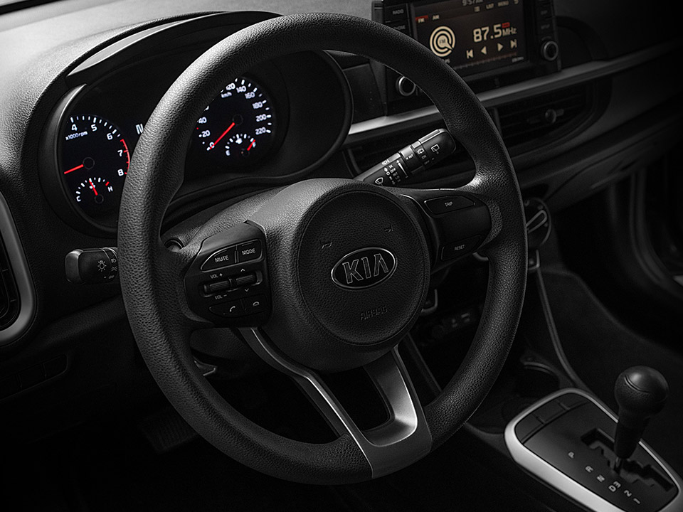 Steering Wheel with Audio Controls