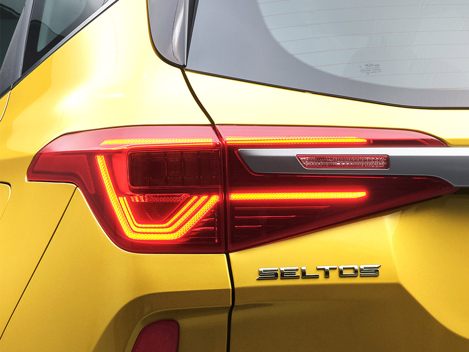 Tiger Nose Grille