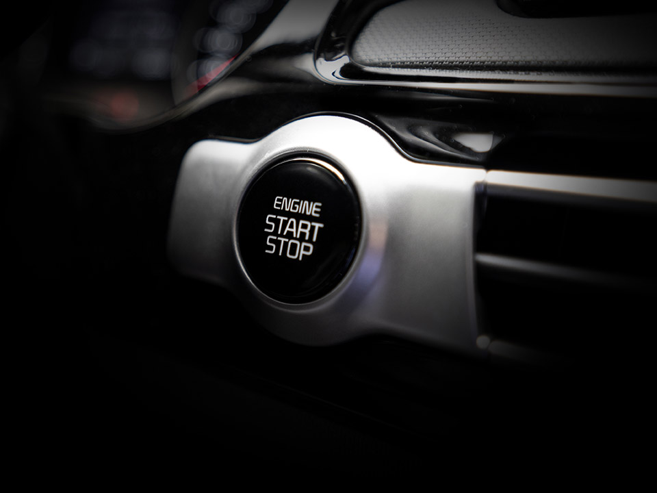 Tiger Nose Grille