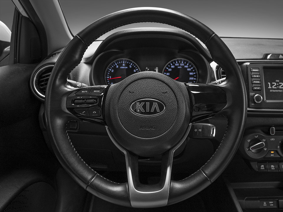 Steering Wheel with Audio Control